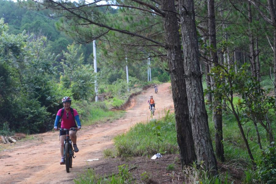 From Da Lat: Elephant Waterfall Countryside Bike Tour