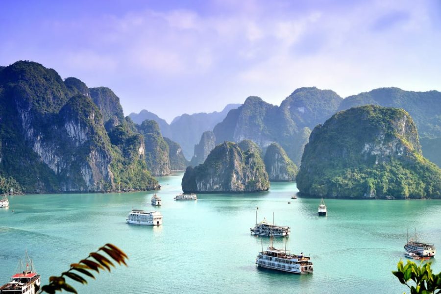 From Ha Noi: 2-Day & 1 Night Halong Bay Tour