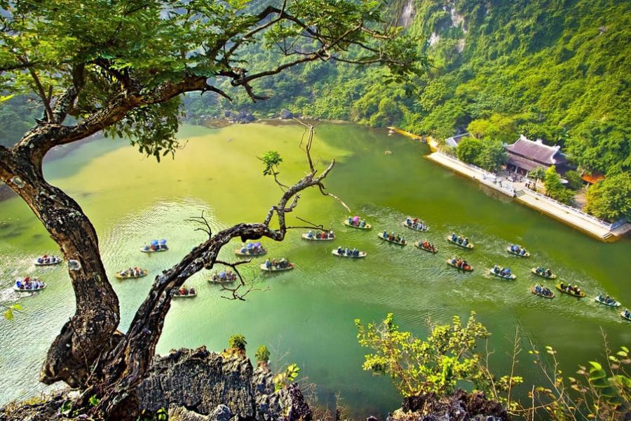 From Ha Noi: Ninh Binh, Trang An, Bai Dinh, and Mua Cave Trip