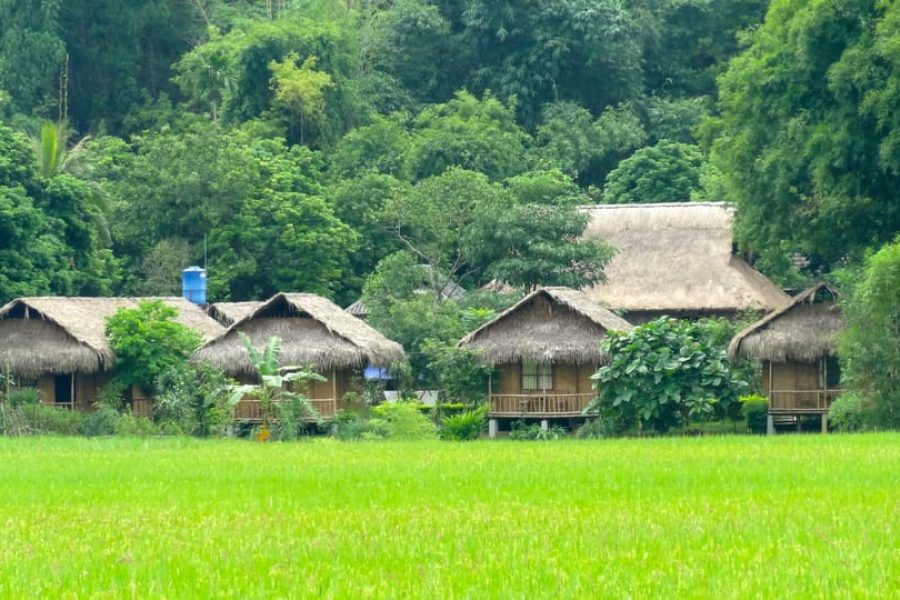 From Ha Noi: Mai Chau – Pu Luong 3 Days 2 Nights